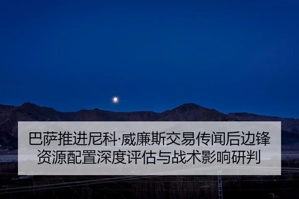 ba-sa-tui-jin-ni-ke-wei-lian-si-jiao-yi-chuan-wen-hou-bian-feng-zi-yuan-pei-zhi-shen-du-ping-gu-yu-zhan-shu-ying-xiang-2-384.jpg
