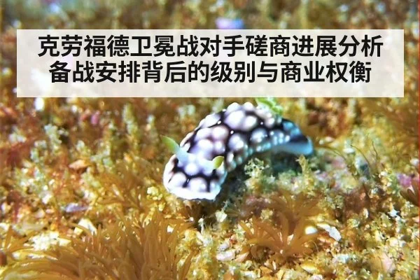 克劳福德卫冕战对手磋商进展分析 备战安排背后的级别与商业权衡