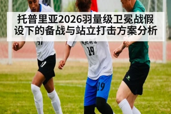 托普里亚2026羽量级卫冕战假设下的备战与站立打击方案分析